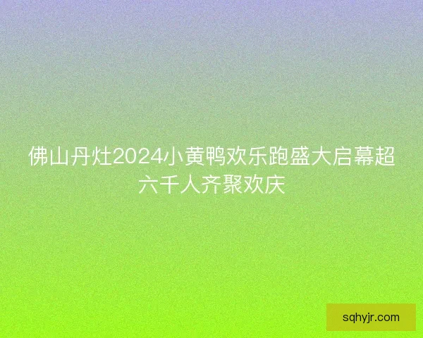 佛山丹灶2024小黄鸭欢乐跑盛大启幕超六千人齐聚欢庆