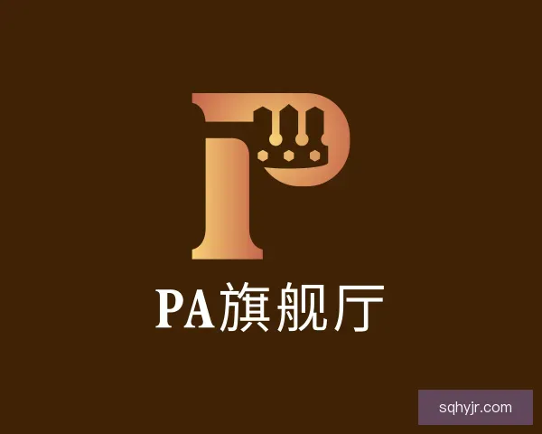 认识PA旗舰